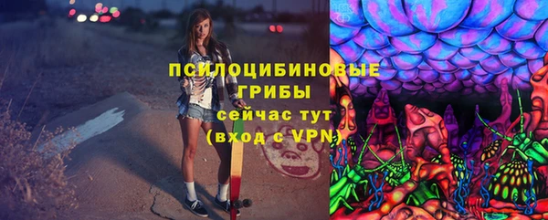 синтетический гашиш Снежногорск