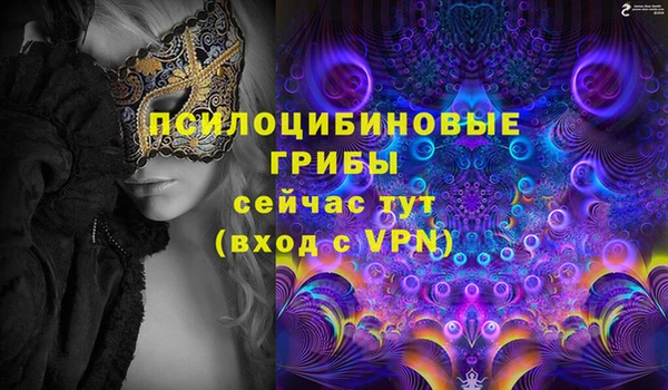 синтетический гашиш Снежногорск
